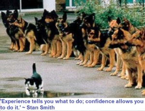 confidence experience 1