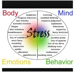 Stress Body Mind