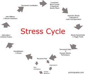 Stress cycle
